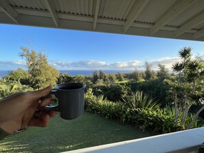 A hand holding a mug, overlooking a lush garden with a view of the ocean and sky.