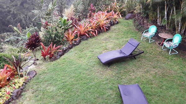 A garden with a variety of plants and a seating area with two lounge chairs and two chairs.
