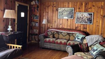 TV connectée, lecteur de DVD, livres, vidéothÚque