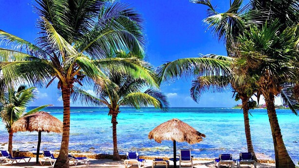 A beach with palm trees, thatched umbrellas, and lounge chairs. - Private Beachfront w/ Lanai-Pool-Tropical Gardens! (Akumal)