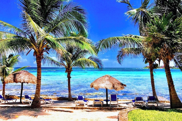 Plage, chaises longues, serviettes de plage