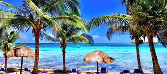 Private Beachfront w/ Lanai-Pool-Tropical Gardens!