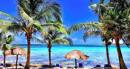 Private Beachfront 2/2, Views! Huge Pool! Gardens!