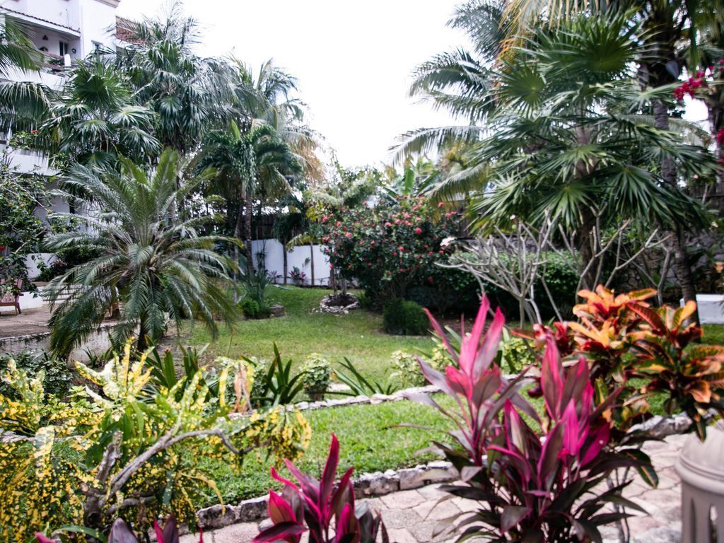 A garden with palm trees, various plants, and a stone pathway.