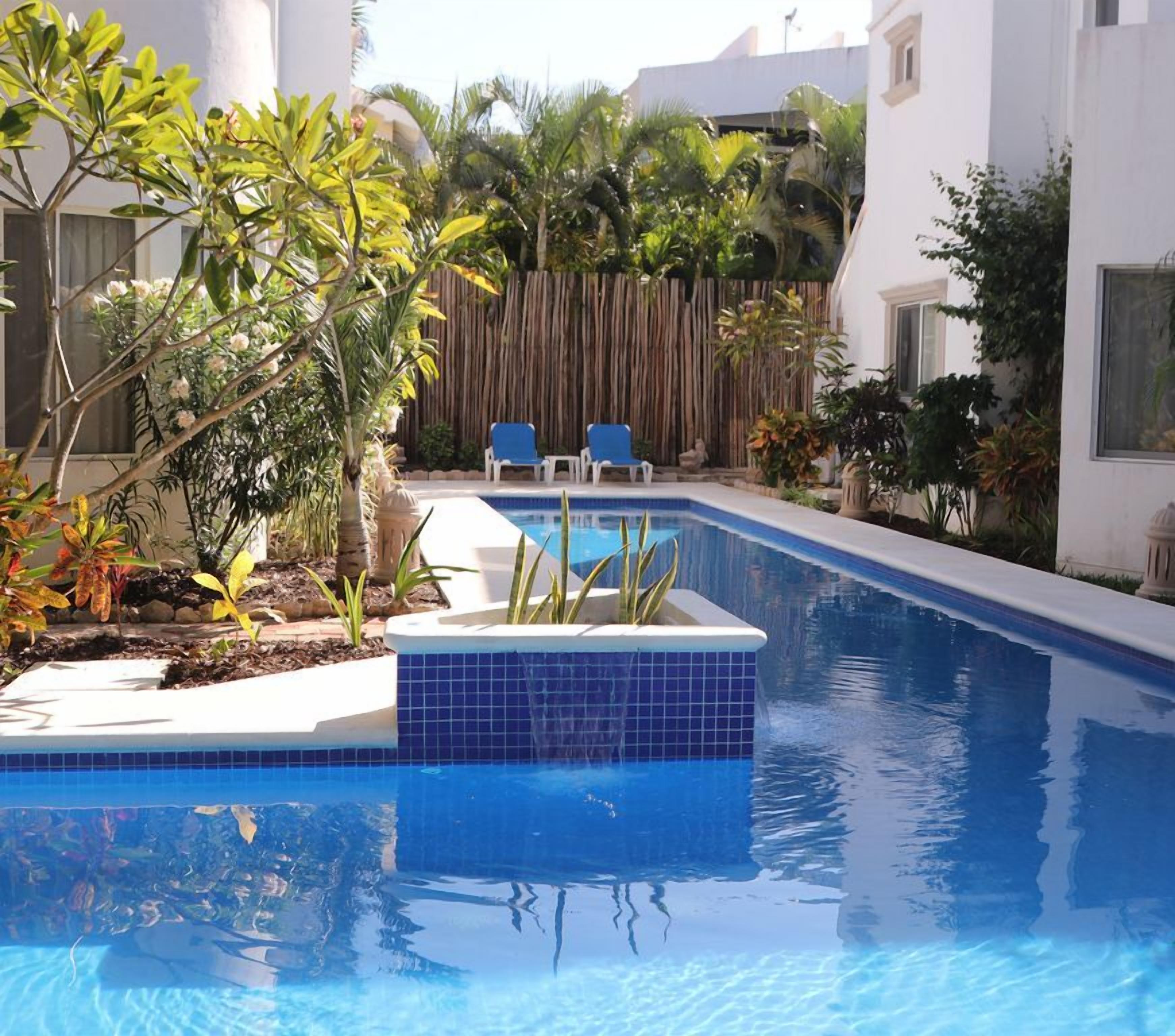 A swimming pool with a blue tiled edge, surrounded by plants and a wooden fence.