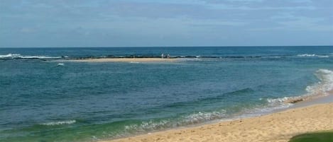 Plage à proximité, chaises longues, serviettes de plage