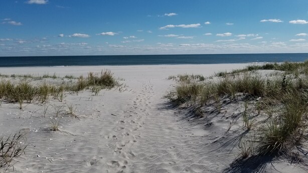 A sandy beach with dunes and a clear blue sky. - Beach block! 4 Bed 2 Bath - 1st floor duplex! (Brigantine)
