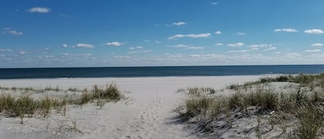 Vlak bij het strand