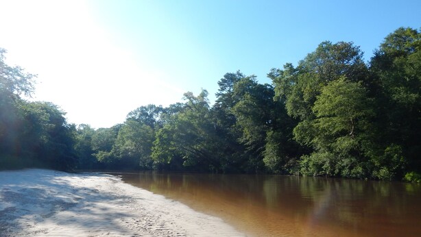 A sandy beach with a calm river and dense green trees in the background. - Camp House on Red Creek - Uncle Ralph’s Cabin Rentals - PRIVATE BEACH (Perkinston)
