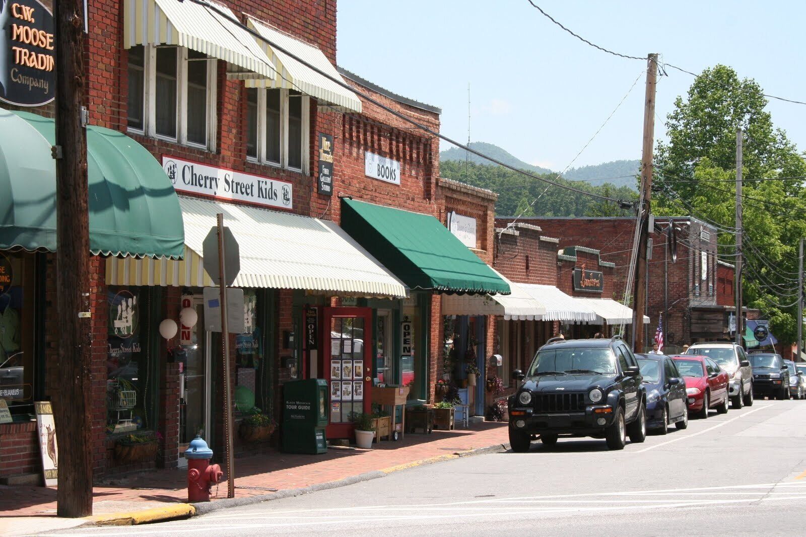 A street lined with brick buildings, including a store named 'Cherry Street Kids' and a bookstore.