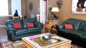 TV connectée, cheminée, lecteur de DVD, vidéothèque