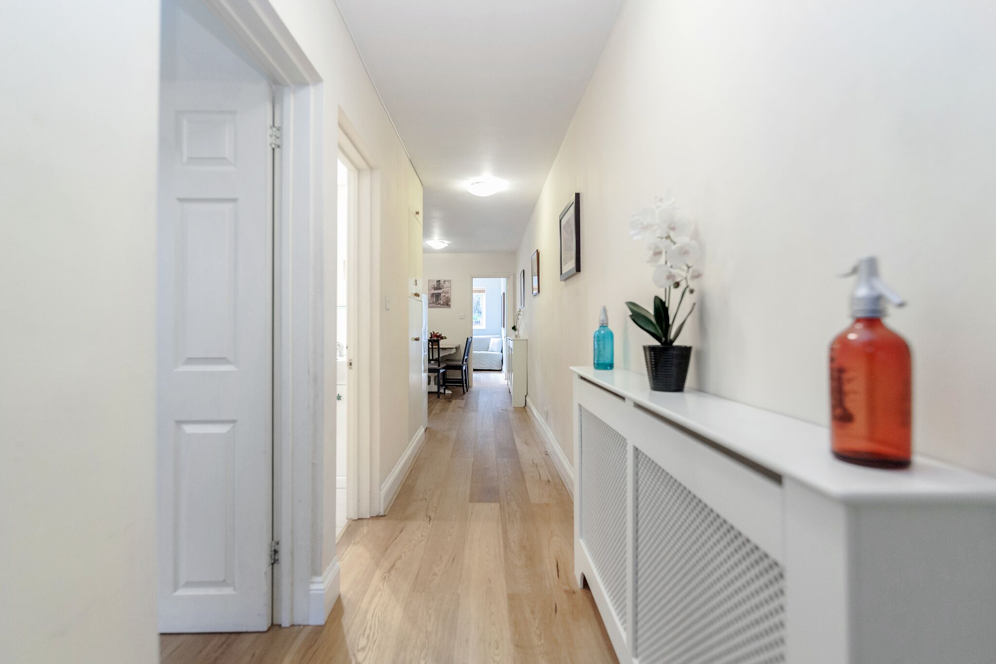 Un couloir avec une porte blanche, un radiateur et une plante en pot posée sur une console.
