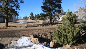 A residential area with houses, trees, and a road.