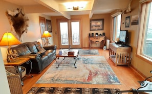 Smart TV, DVD player, books, video library