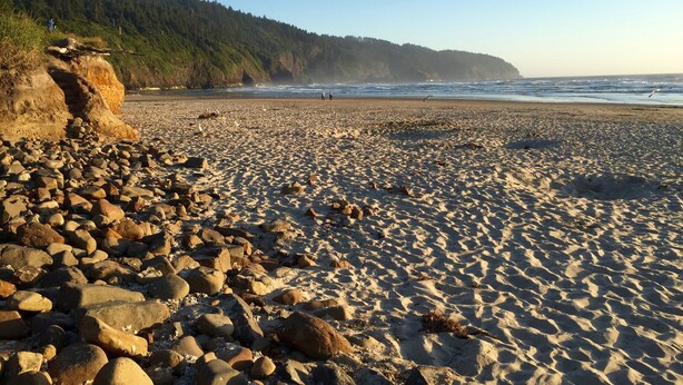 A rocky beach with a forested cliff in the background.