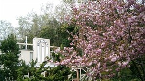 A building with a sign reading "PARK PLACE" surrounded by lush greenery and flowering trees. - Downtown Port Townsend - Hillside Penthouse Vacation Rental (Port Townsend)