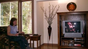 A person sitting on a couch in a room with a television, a vase with branches, and a window with a view of trees. - Downtown Port Townsend - Hillside Penthouse Vacation Rental (Port Townsend)