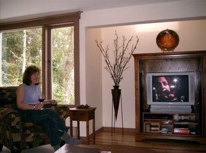 Smart TV, fireplace, DVD player, music library