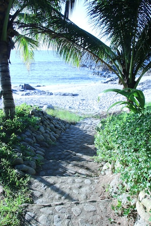 A stone pathway leading to a beach with palm trees and a view of the ocean.