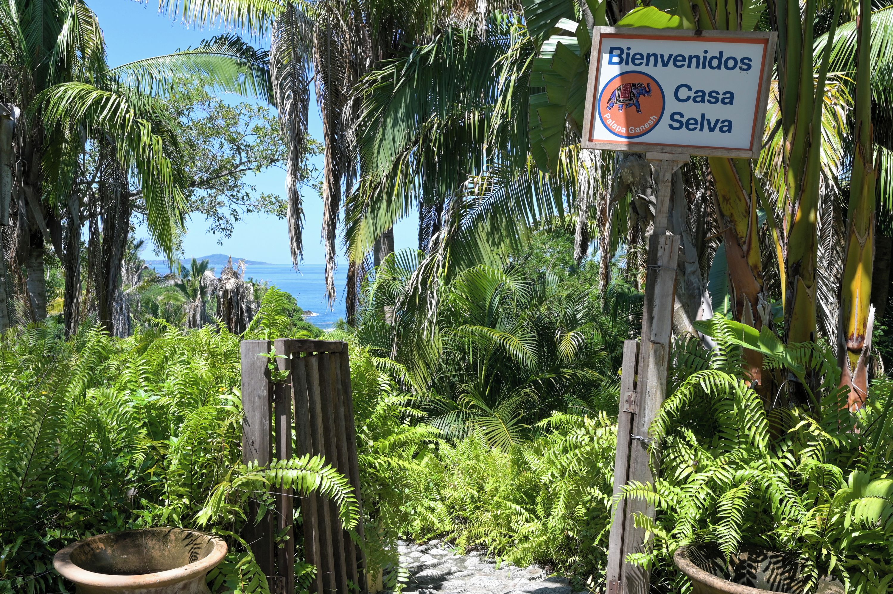 Un jardín tropical con una puerta de madera, abundante vegetación y un cartel que da la bienvenida a Casa Selva.