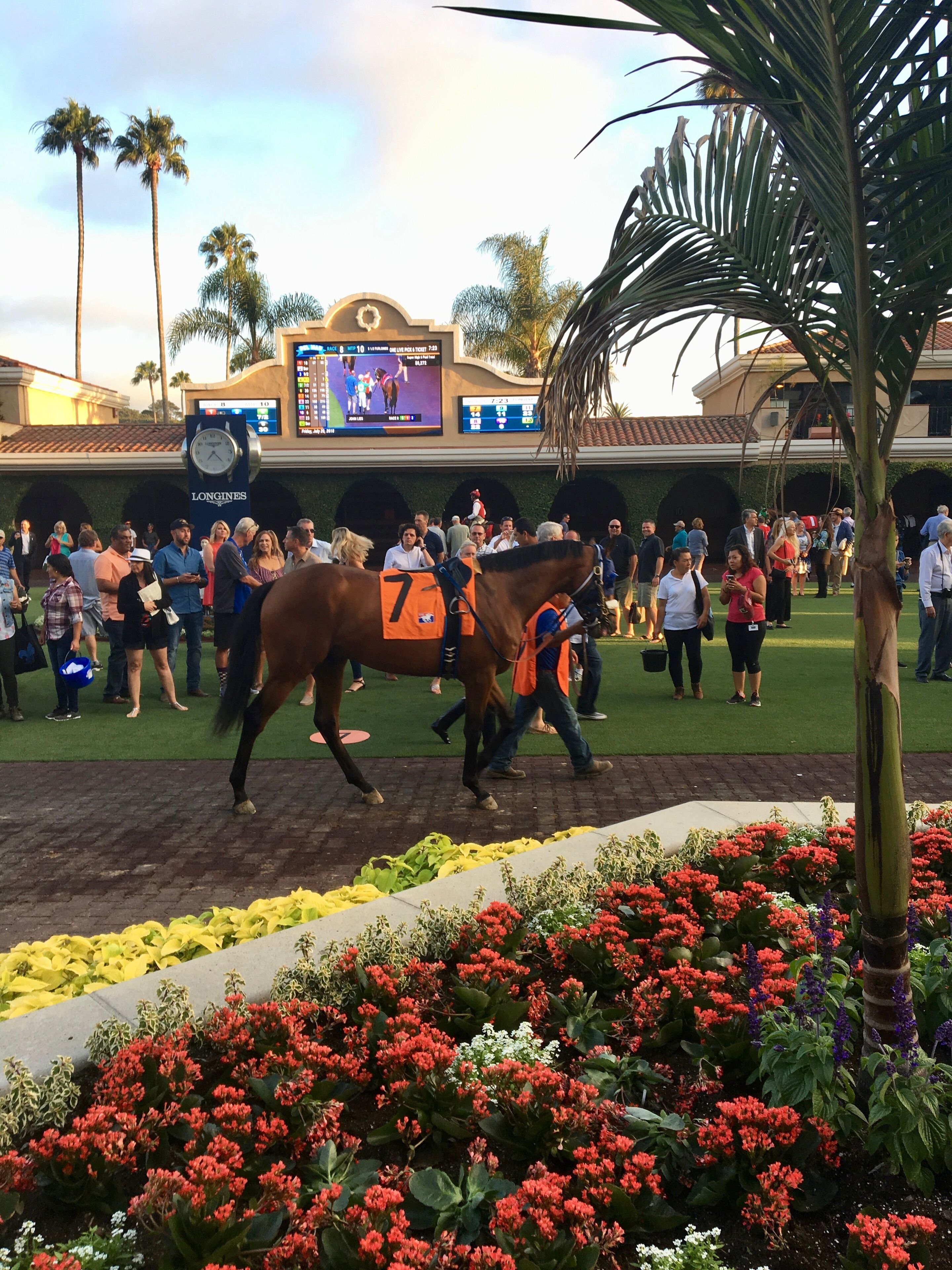 A horse race event with spectators, a jockey on a horse, and a digital scoreboard in the background.