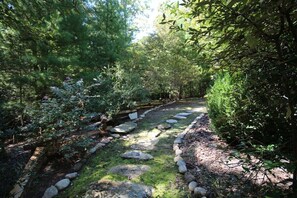 Property grounds - Sarah`s Cabin in Pisgah Forest (Pisgah Forest)