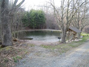 Property grounds - Romance with this Gorgeous Mnt View’ minutes to downtown Boone , Gated community (Boone)