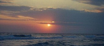 Rez-de-chaussée! Entrée privée à la piscine! Décor élégant! Tout le confort de la maison