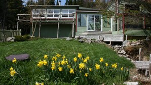 A green house with a garage, surrounded by a grassy yard and yellow daffodils. - Experience Peace And Tranquility At Charming Cottage In Small Fishing Community. (Trinity T.B.)