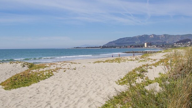 Ein Strand mit Sand, Seetang und einem fernen Berg.