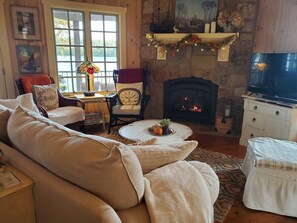 TV connectée, cheminée, lecteur de DVD, livres