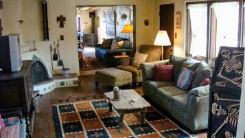 TV, fireplace, books, music library