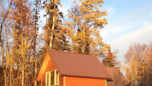 Une cabane en bois à deux étages, surmontée d’un toit en métal, entourée d’arbres et de végétation.