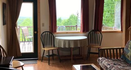 Above the Valley - Cozy Denali View Cottage with mountain facing deck