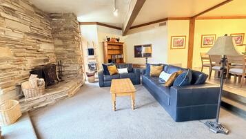 TV, fireplace, video games, DVD player