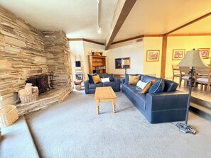 TV, fireplace, video games, DVD player