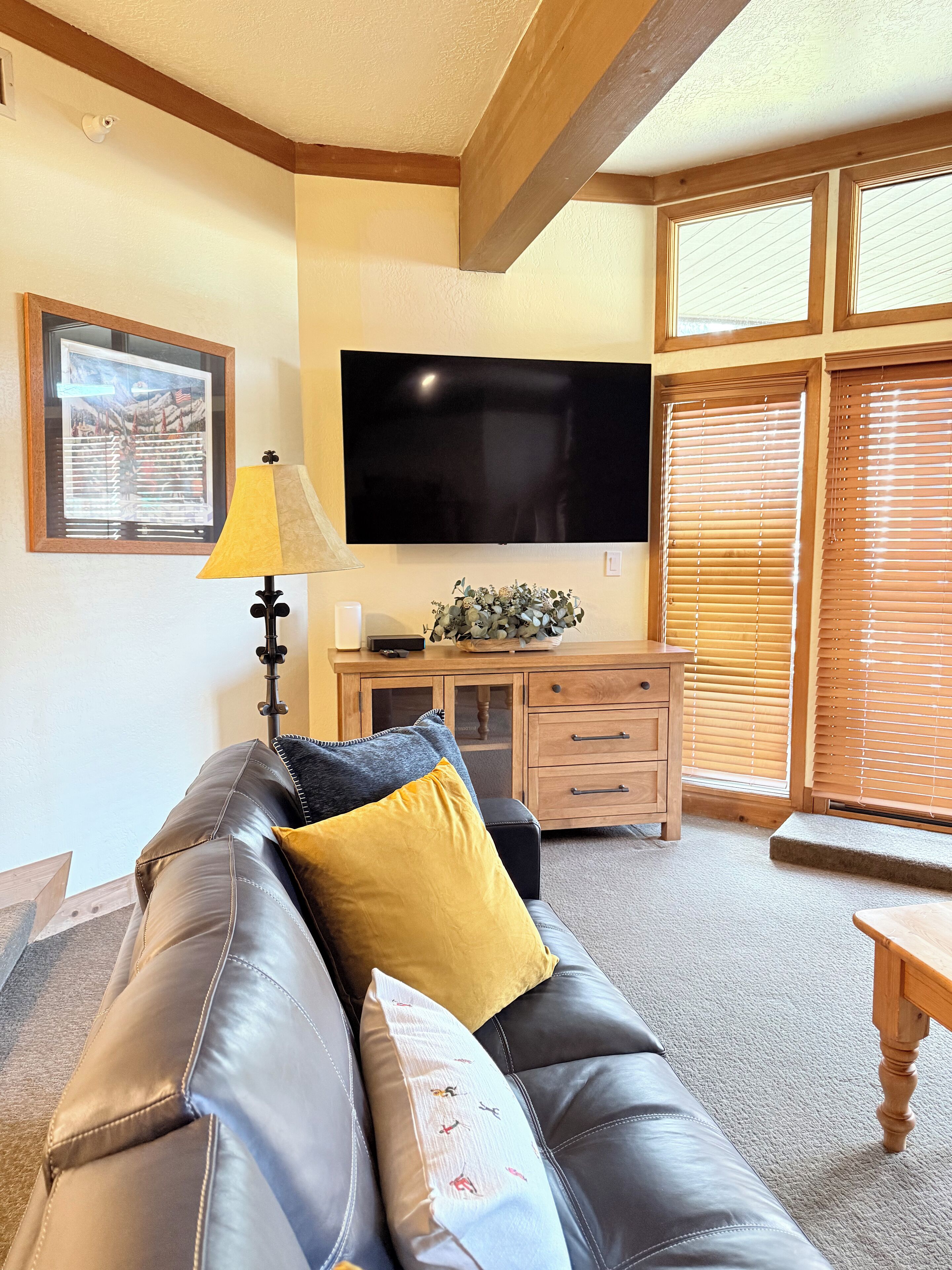 TV, fireplace, video games, DVD player