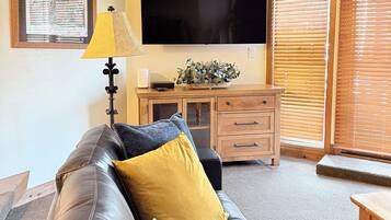 TV, fireplace, video games, DVD player