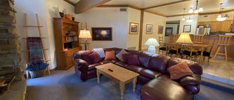 TV, fireplace, video games, DVD player