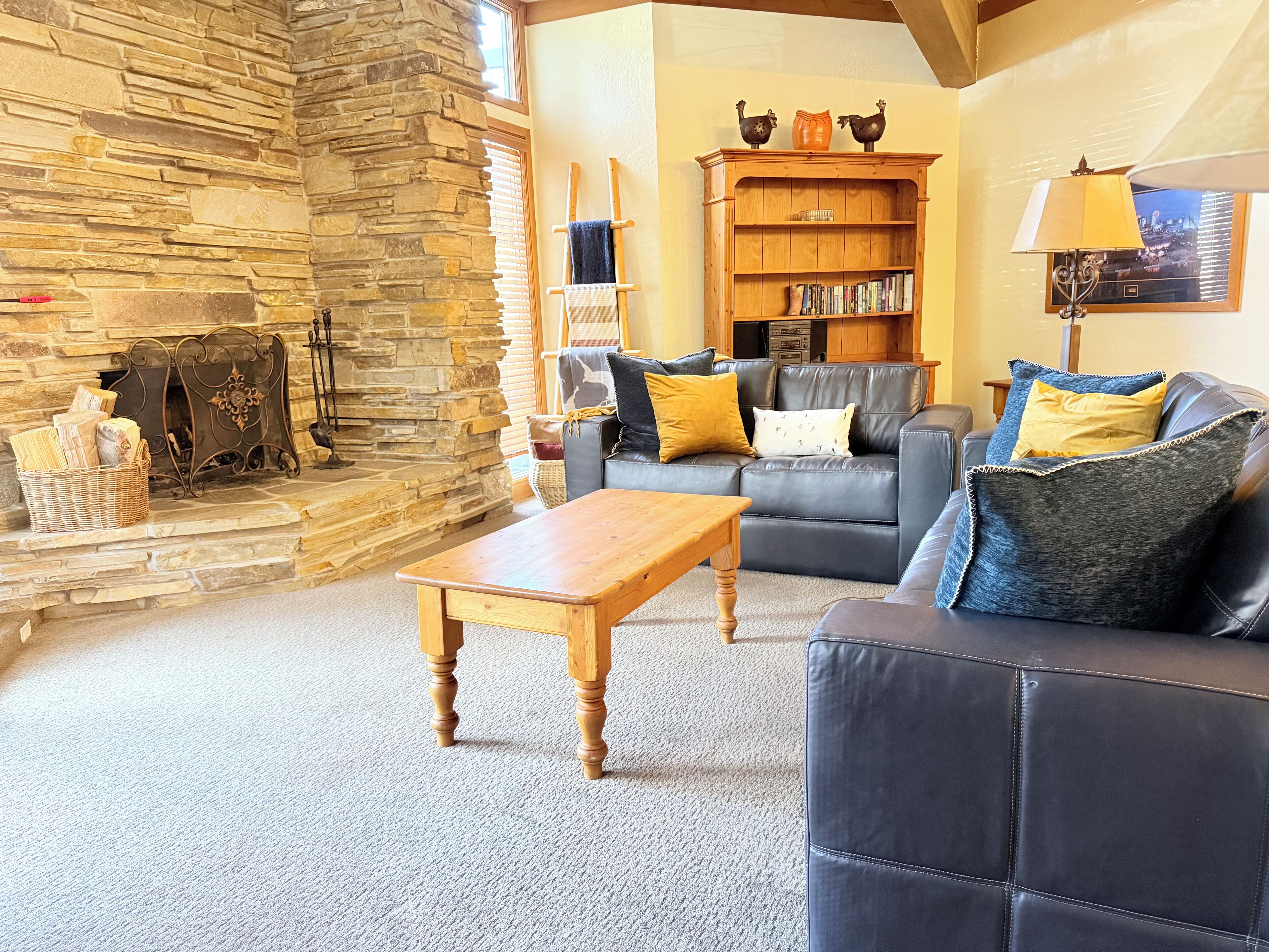 TV, fireplace, video games, DVD player