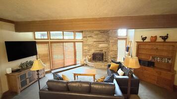 TV, fireplace, video games, DVD player