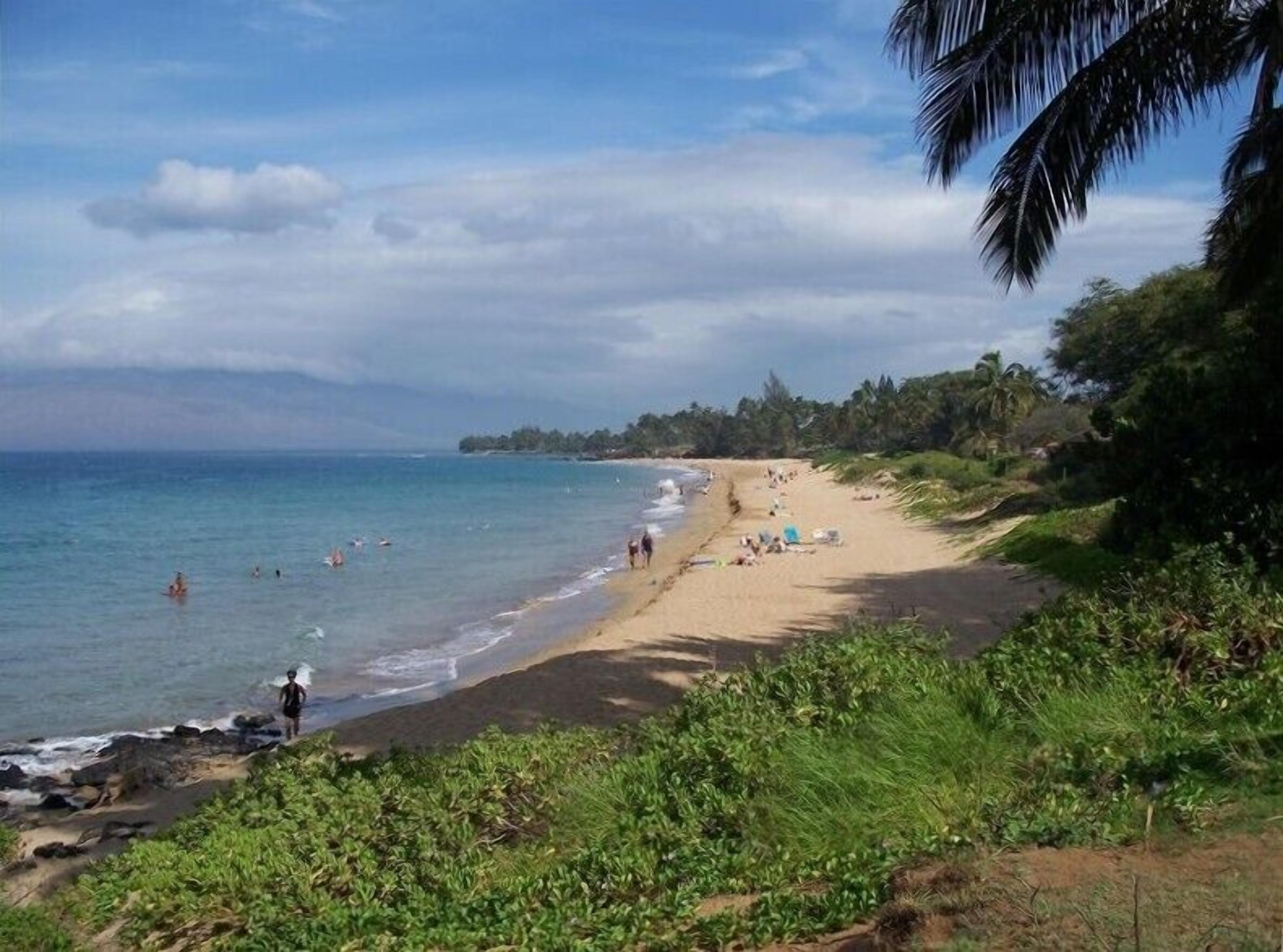 A beach with a sandy shore, some greenery, and a few people.