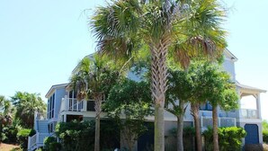 A two-story house with a porch, surrounded by palm trees and a small pond. - Designer Saltmarsh Townhome! Neighborhood Pool! Great Location! Amenity access included! (Seabrook Island)