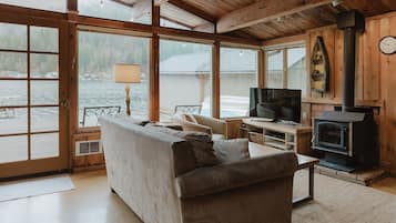 TV, fireplace, video games, DVD player