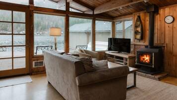 TV, fireplace, video games, DVD player