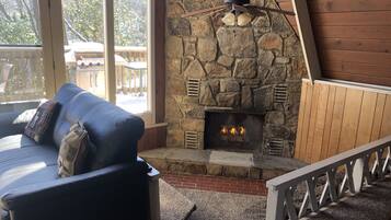 TV connectée, cheminée, jeux vidéo, lecteur de DVD