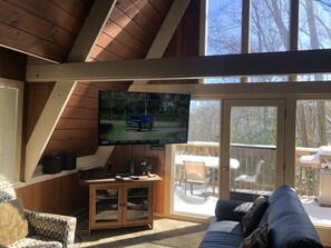 Smart TV, fireplace, video games, DVD player