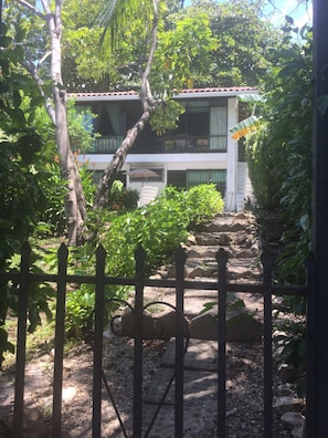 Stroll through the serene garden to the two-story building with a red-tiled roof, surrounded by lush greenery and a white fence.