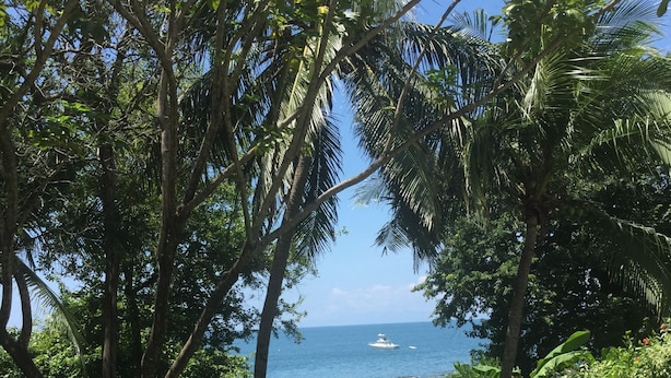 Ein Schwimmbecken, umgeben von üppiger Vegetation mit Blick aufs Meer.