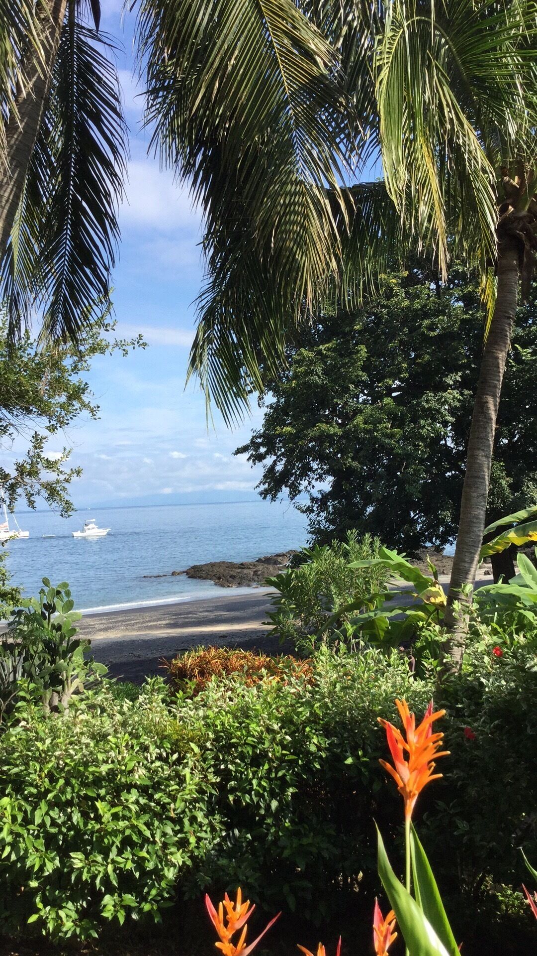 Sur la plage, chaise longue, serviettes de plage